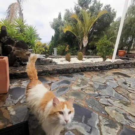 Casa Rural En Taucho Ferienhaus
